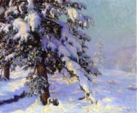 Snow Laden
