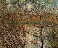 Springtime through the Branches