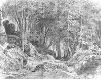 Forest on a Rocky Coast, Valaam