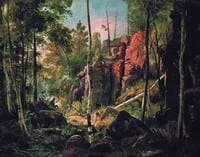 View on the Island of Valaam