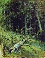 In the Forest