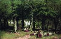 In the Woods