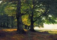 Tevtoburgsky Forest