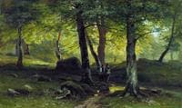 In the Woods