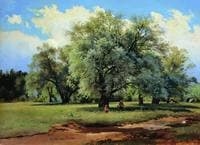 Willows in Sunshine