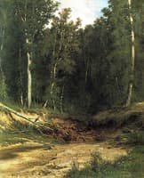 A Woodland Brook
