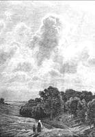 Clouds above a Grove
