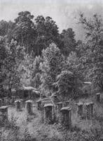 An Apiary