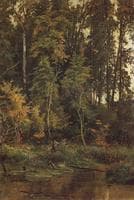 Approaching Autumn