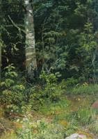 Birch and Pocks (study)