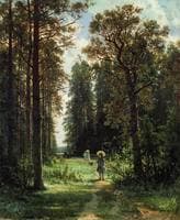 Path in a Forest