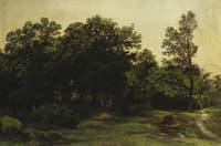 In the Woods