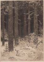 Thick Forest