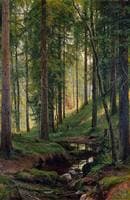 Brook in a Forest