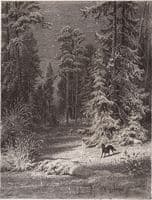 Winter Night