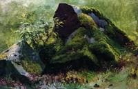 Stones (Study)