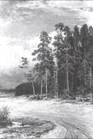 On edge of piny wood
