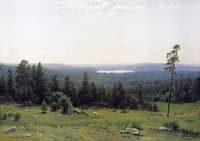 Wooded Landscape