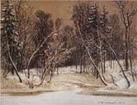Forest in Winter