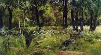 A Forest Glade
