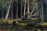 Windfall