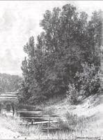 Near a Brook