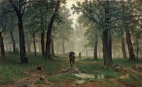 Rain in an oak forest