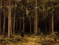 In the forest of countess Mordvinova, Petergof