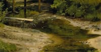 Woodland rivulet
