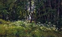 Flowers on the Forest Edge