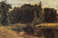 Pond in an old park