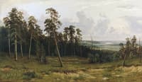Forest on the Kama River