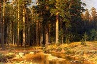 Ship Timber Grove
