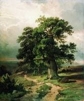 Oaks (Study)
