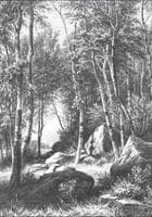 On the Edge of a Birch Grove, Valaam