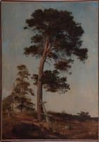 Pine on the Valaam (etude)