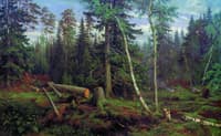 Cutting of wood