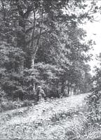 On a Boundary Path