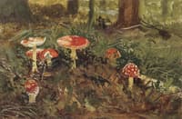 Fly agarics (etude)