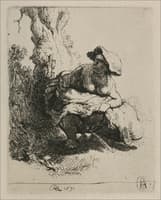 A Woman Beneath a Tree Making Water