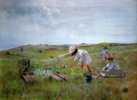The Little Garden