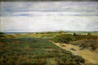 Near the Sea