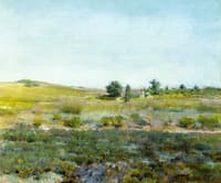 Shinnecock Hills / Summer