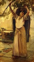 Spanish Lady