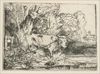 The Bull
