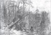 Morning in a Pine Forest