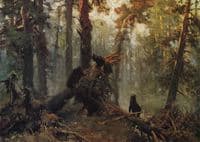 Morning in a Pine Forest (study)