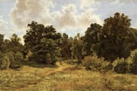 Forest Edge