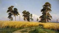 A Rye Field