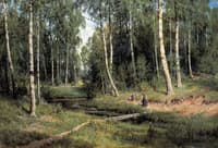 Brook in a Birch Grove